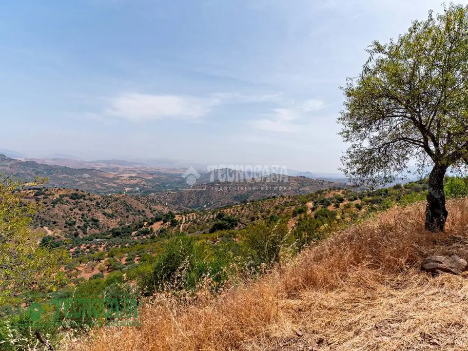 Terrenos en venta en Guaro