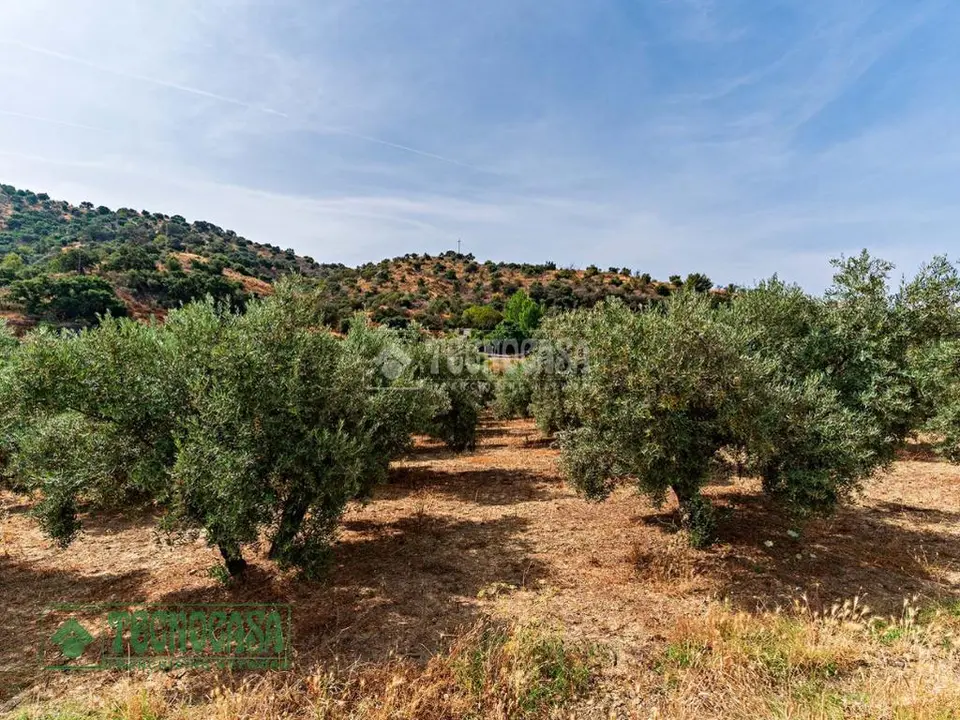 Terrenos en venta en Guaro