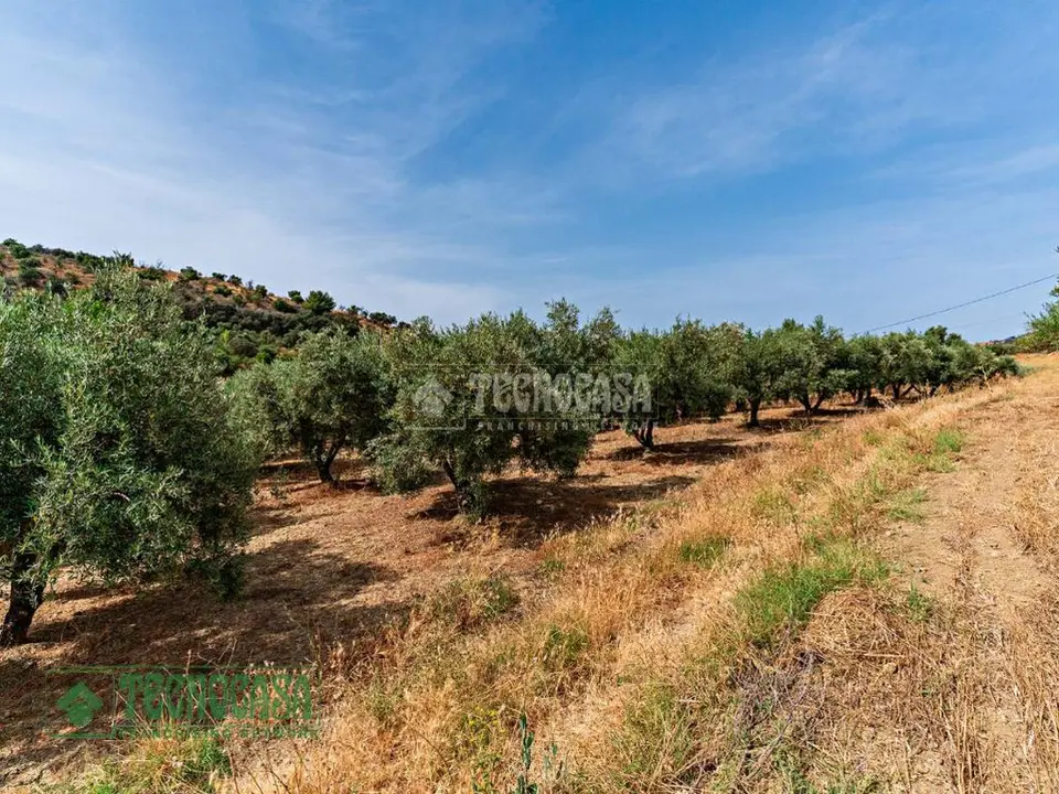 Terrenos en venta en Guaro
