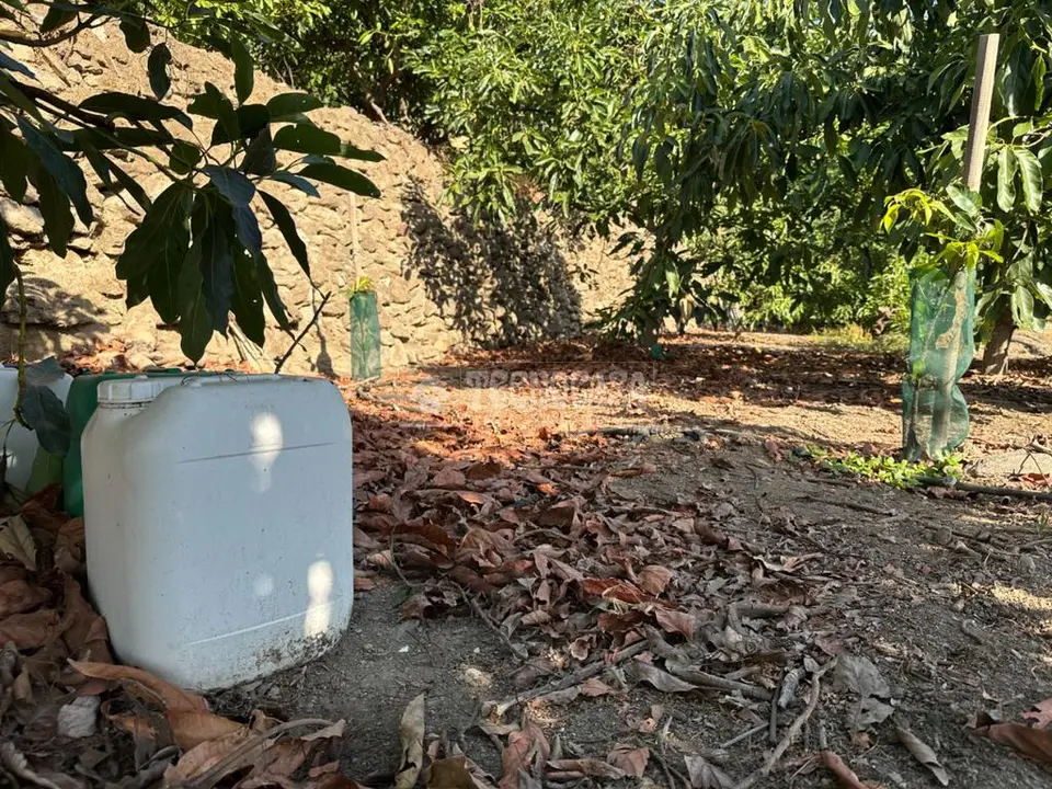 Terrenos en venta en Torrox