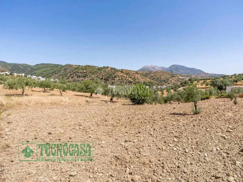 Terrenos en venta en Tolox